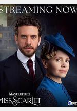 斯嘉麗小姐探案集 第六季 Miss Scarlet Season 6線上看