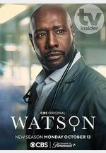 華生 第二季 Watson Season 2線上看