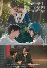 桃花開好了 복숭아 꽃이 피었습니다線上看