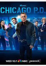 芝加哥警署 第十三季 Chicago P.D. Season 13線上看