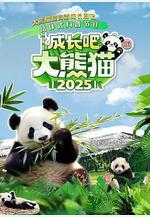 成長吧！大熊貓2025線上看