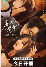 危險替身線上看