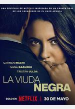 寡婦遊戲 La viuda negra線上看