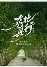 東北真行線上看