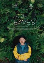 溫柔的葉子 Soft Leaves線上看