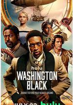 華盛頓·布萊克 Washington Black線上看