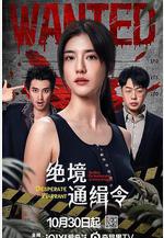 絕境通緝令線上看