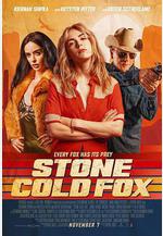 冷血狐狸 Stone Cold Fox線上看