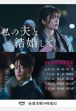 請和我的老公結婚 私の夫と結婚して線上看