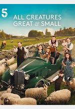 萬物生靈 第六季 All Creatures Great and Small Season 6線上看