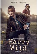 野探哈莉 第四季 Harry Wild Season 4線上看